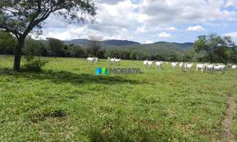 Imagem 2: FAZENDA À VENDA - 1.033 HECTARES - ENGENHEIRO DOLABELA (MG