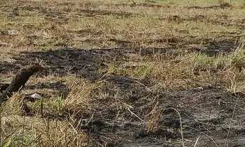 Imagem 6: Excelente Lote de Esquina para Morar Investir Alugar Comercial