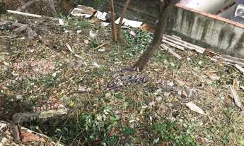 Imagem 7: Terreno no Jardim Bonfiglioli