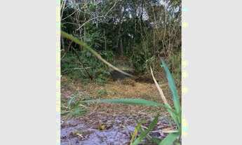 Imagem 6: Terreno AGRO à Venda em Alagoinhas, Bahia