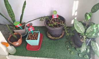 Imagem 3: BANGU Apartamento Excelente, 2 Qtos