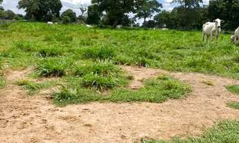 Imagem: Fazenda arrendamento 1.600hec em Poconé