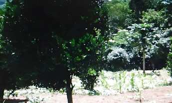 Imagem 3: Fazenda em Barro Alto (anúncio direto do proprietário