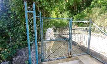Imagem 5: Casa à venda, 5 quartos, 2 vagas, Cosme Velho - RIO DE JANEIRO/RJ