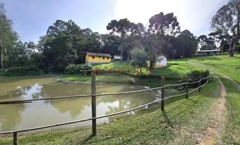 Imagem 4: Saraju Vende Terreno em chacara em São José Dos pinhais