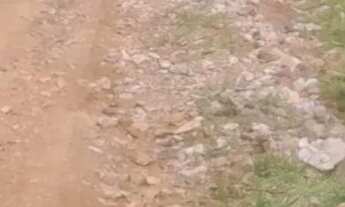 Imagem 6: Terreno com Área Verde em Local Tranquilo