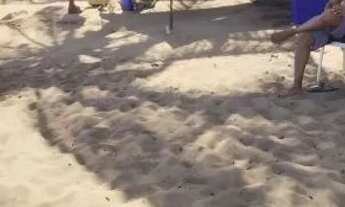 Imagem 5: Barraca de Praia