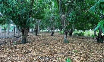 Imagem 4: Chácara Padre Bernardo Goiás