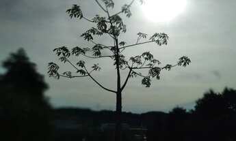 Imagem: Recanto Alta Vista