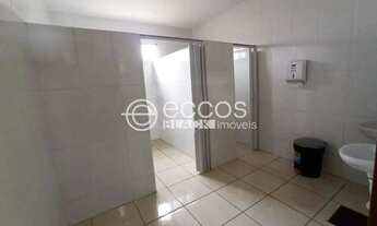 Imagem 4: Galpão para aluguel, Tibery - Uberlândia/MG