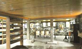 Imagem 5: Chácara à venda em Nova Petrópolis - Linha Brasil