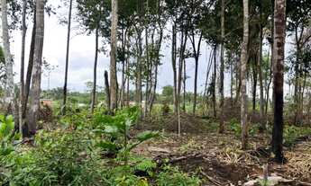 Imagem: Terreno no Iranduba