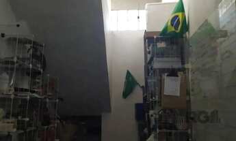 Imagem 7: Casa em Condomínio - Gravataí