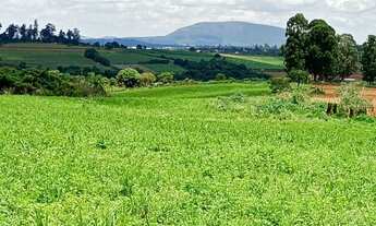 Imagem: Terreno módulo rural região florestal
