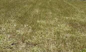 Imagem 3: Terreno à venda, 300 m² por R$ 340.000,00 - Vale dos Cristais - Macaé/RJ