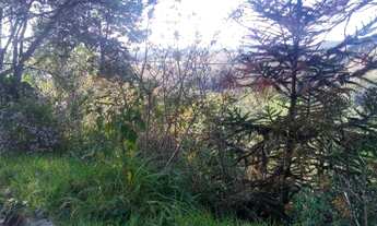 Imagem 6: Lote em Rua Manoel Marques Pereira - Vila Marinela - Vila Marinela - Campos do Jordão/SP