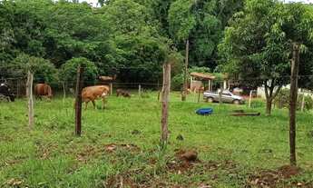 Imagem 5: Sítio Canta Galo