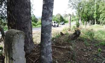 Imagem 4: Sítio em Rodovia RS-020 - Vera Cruz - Gravataí/RS