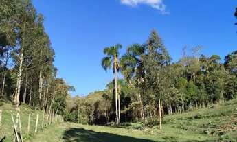 Imagem 6: Imóvel para venda tem 190000 metros quadrados com 5 quartos em Matulão - Tijucas do Sul