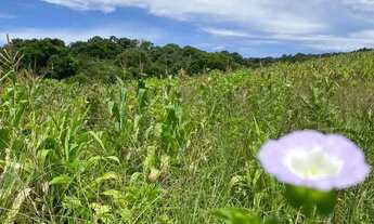 Imagem 3: Terrenos para venda possui 1000 metros quadrados em Colégio - Ibiúna - SP