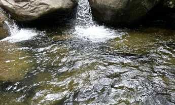 Imagem 3: Lote 250m² plano-Pedra Roxa-Região do Caparaó-ao lado Cachoeiras