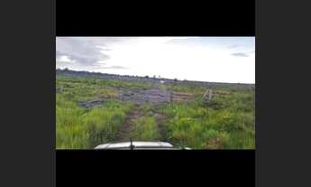 Imagem 2: Fazenda em Apuí Amazonas