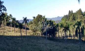 Imagem 4: Sítio.!! Chácara com venda por R$260.000