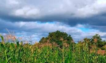 Imagem 3: Chácara à Venda, Triunfo-PE