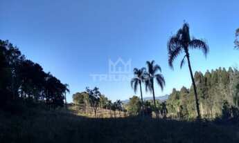 Imagem 2: Sítio.!! Chácara com venda por R$260.000