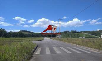 Imagem 6: SãO JOSé - Terreno Padrão - Sertão do Maruim