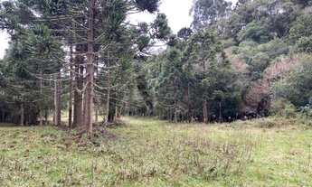 Imagem 6: Terreno de 2 hectare em Urubici