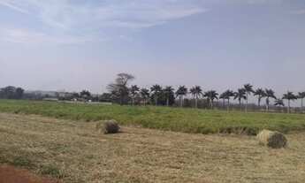 Imagem 2: Dourados - Chácara - Vila Nova Esperança