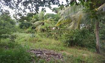 Imagem 7: Lote/Terreno para venda possui 2700 metros quadrados