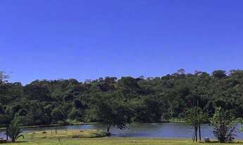 Imagem 3: Excelente lote à venda -Chácara- com 1558 m2 na Go 020 próximo a Bela Vista de Goiás - GO