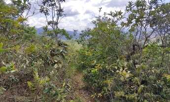 Imagem 4: Área Terreno Chácara Sítio Lote Fazendinha 8 Hectares, ITATIAIUÇU MG