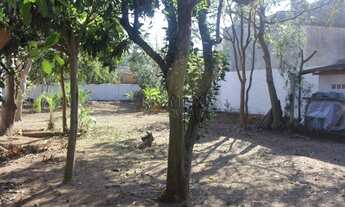 Imagem 6: FLORIANóPOLIS - Terreno Padrão - Tapera da Base