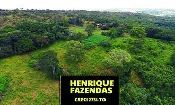 Imagem 6: Fazenda Luzimangues 216 hectares 25 km