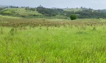 Imagem 2: Lote/Terreno para venda possui 5000 metros quadrados em Cidade Jardim - Jacareí - SP