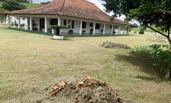 Imagem 3: Sítio em Santa Isabel