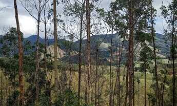 Imagem 6: Sítio em Timbuí