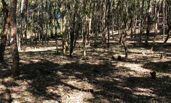 Imagem 4: OPORTUNIDADE! Lindo Terreno em Juquitiba, aceita entrada + parcela