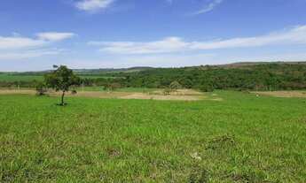 Imagem 6: Chácara à 30 km de Anápolis-Go. Tamanho: 3.000 M2