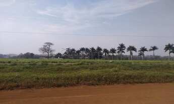 Imagem 6: Dourados - Chácara - Vila Nova Esperança