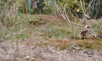 Imagem 3: Lote Terreno Guarará Minas Gerais