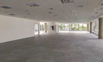 Imagem 7: Sala - Cambuí - Campinas