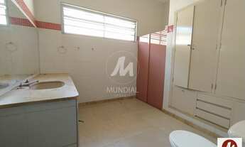 Imagem 4: Salão/Galpão (salão - térreo