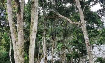 Imagem 4: VENDE TERRENO A MARGEN DA REPRESA CACHOEIRA DO FRANÇA EM JUQUITIBA-SP