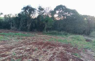 Imagem 2: Chácara 2 Hectares, localizada na Comunidade São Salvador/Cvel