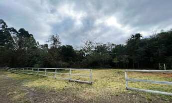 Imagem 7: CHÁCARA COM RIACHO A 1 KM DA RS020