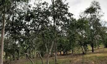 Imagem 3: Fazenda/Sítio/Chácara para venda com 24200 metros quadrados em PORTO FELIZ - Porto Feliz